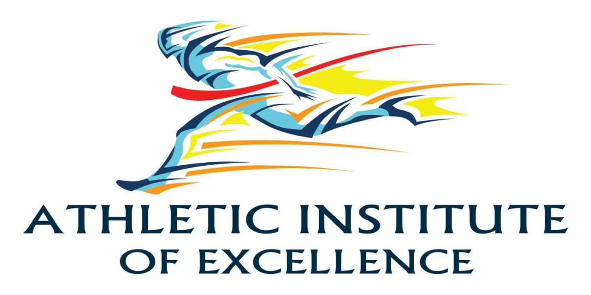 Programs | Athletic Institute Of Excellence